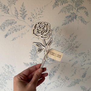 Rosa de Sant Jordi